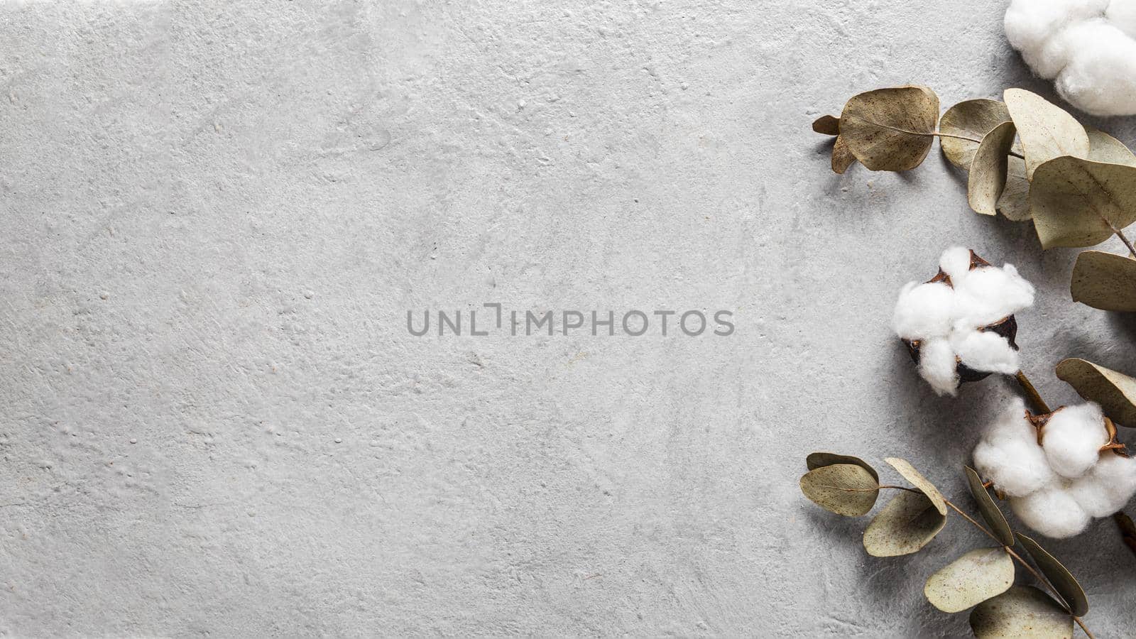 top view dry leaves with copy space. High quality beautiful photo concept by Zahard