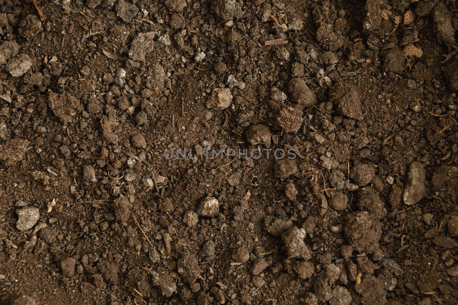 top view natural soil. High quality beautiful photo concept by Zahard