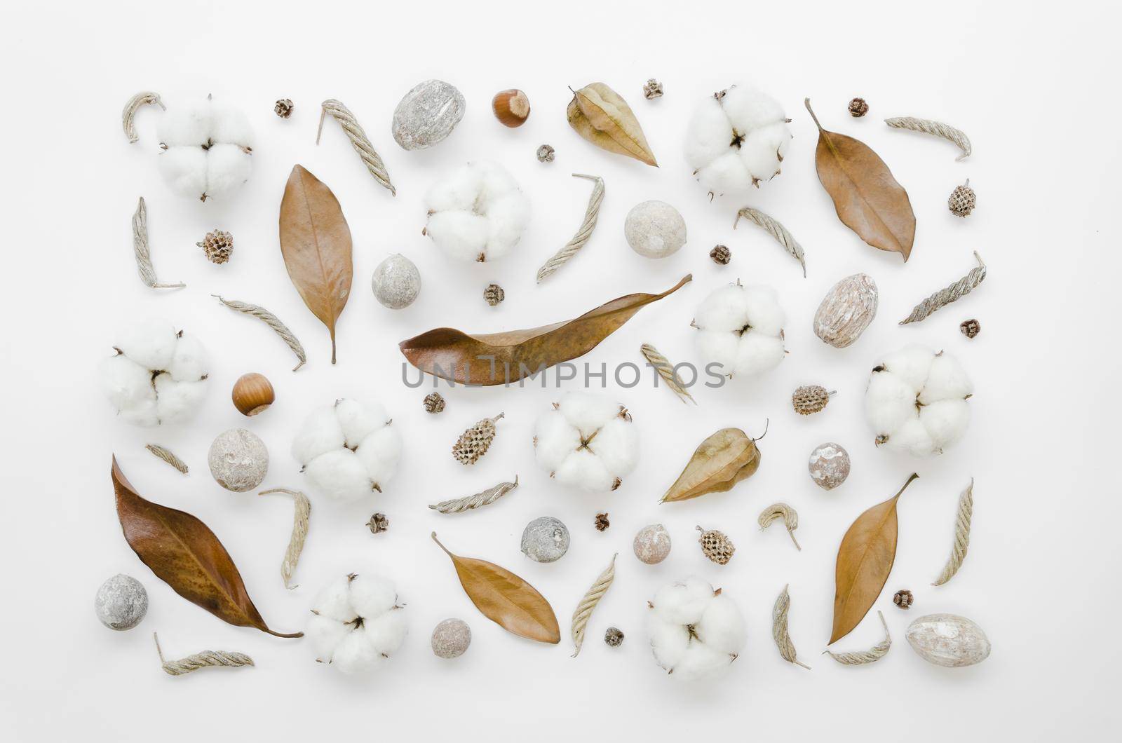 top view decoration with cotton flowers old leaves. High quality beautiful photo concept by Zahard