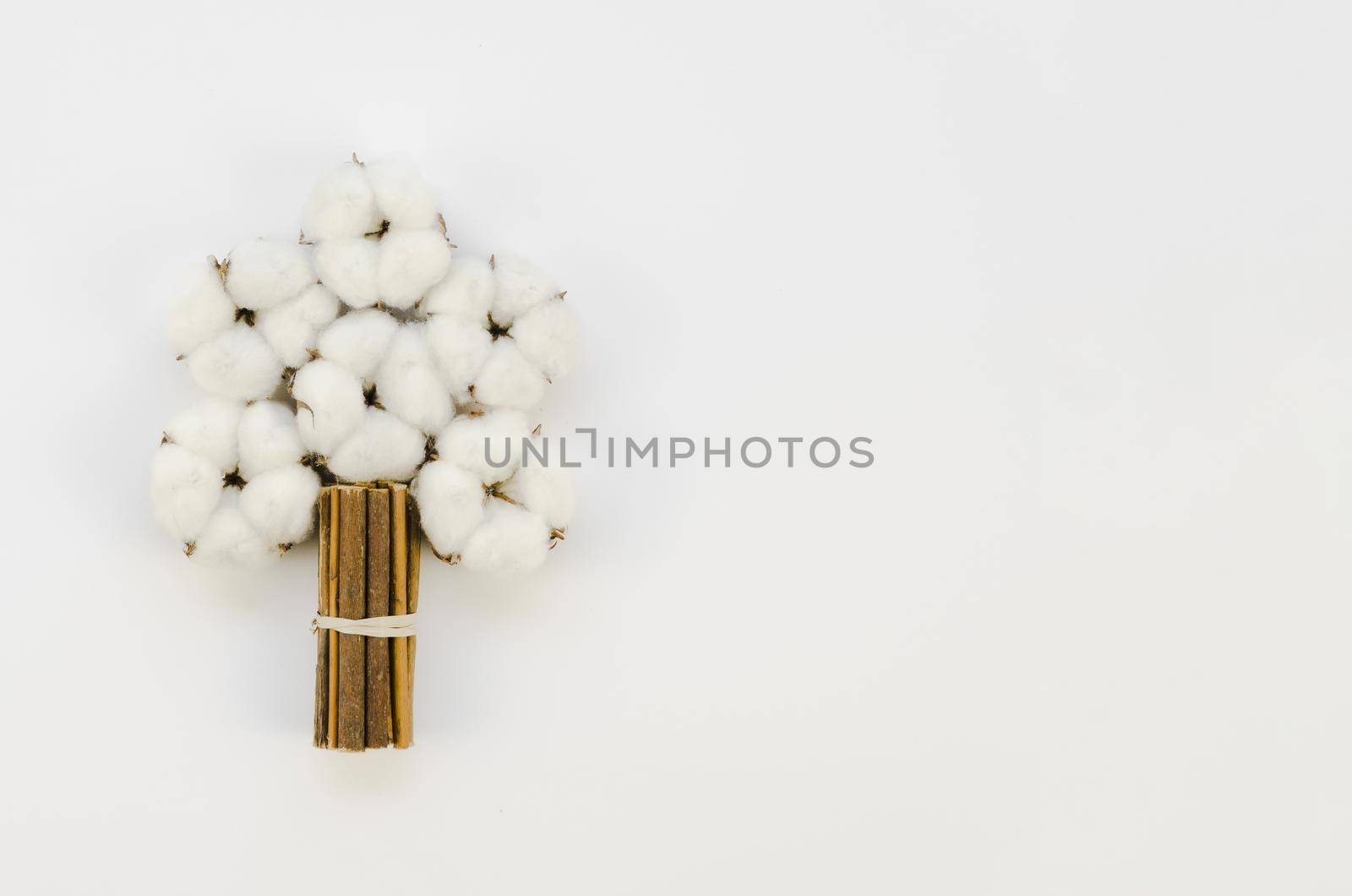 top view cotton flowers bouquet with copy space. Resolution and high quality beautiful photo