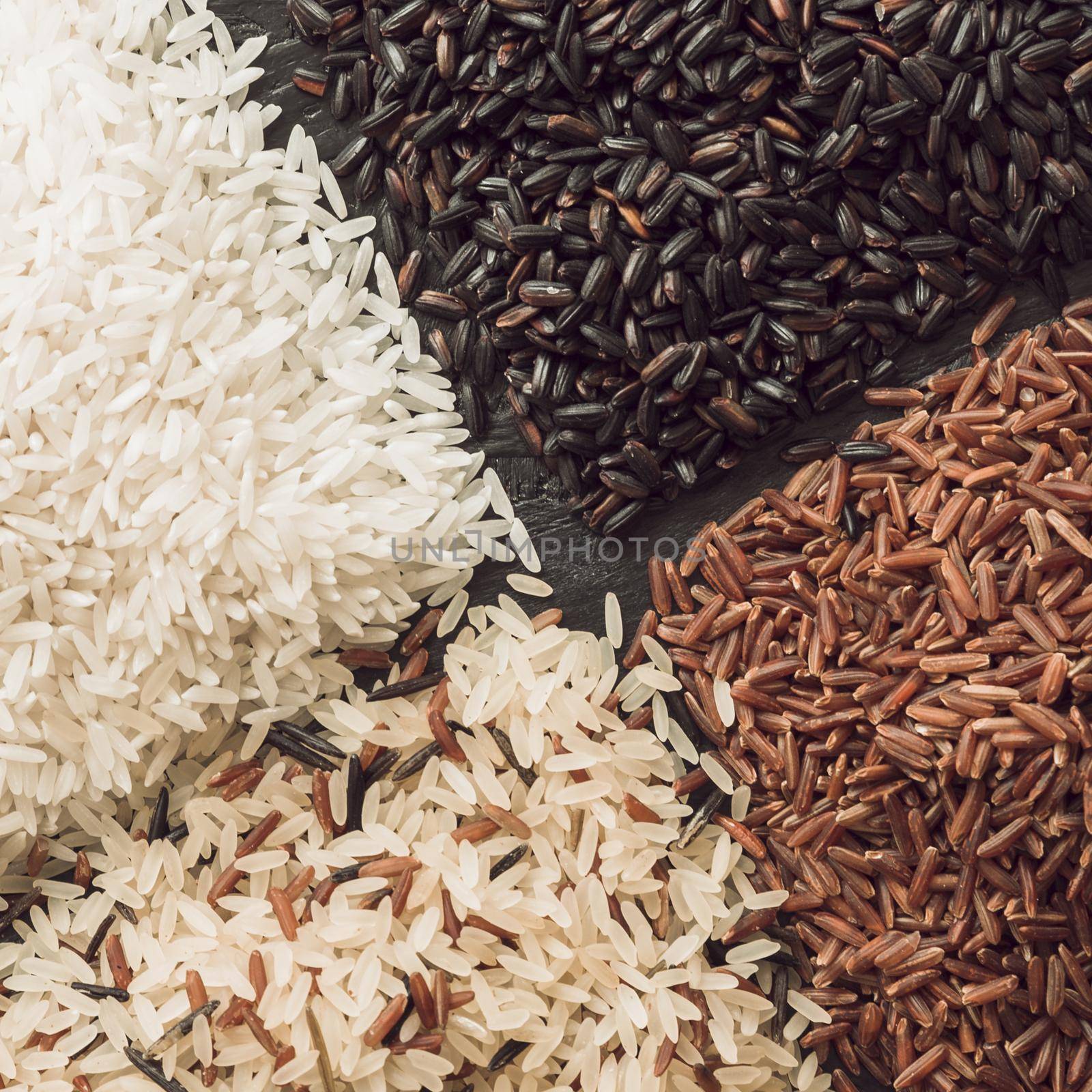 variety rice grains background. Resolution and high quality beautiful photo