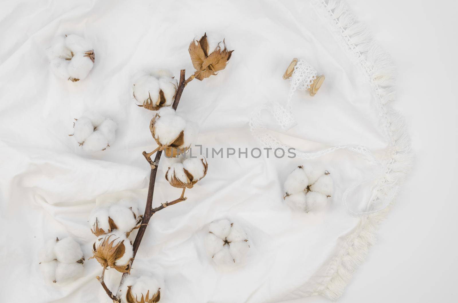 top view cotton flowers arrangement. High quality beautiful photo concept by Zahard