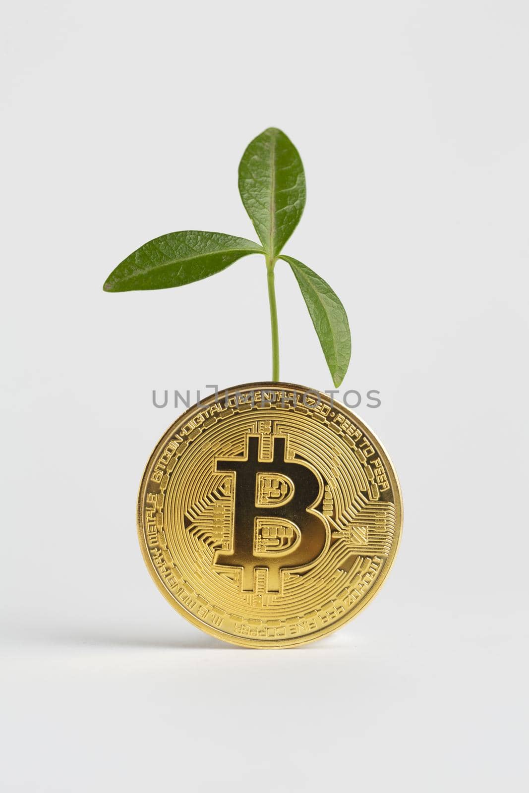 golden bitcoin with plant it. Resolution and high quality beautiful photo