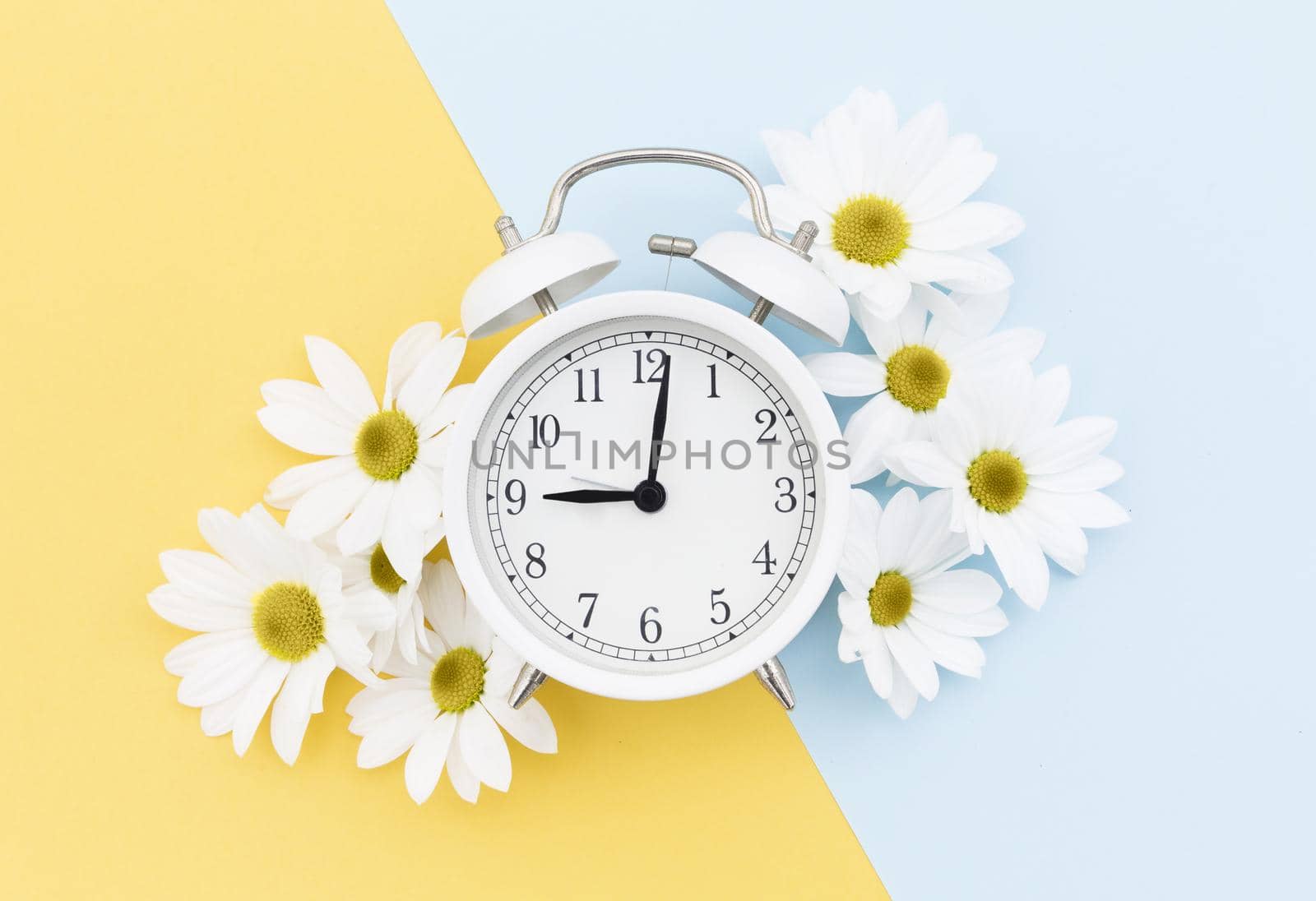 top view arrangement with clock daisies. Resolution and high quality beautiful photo