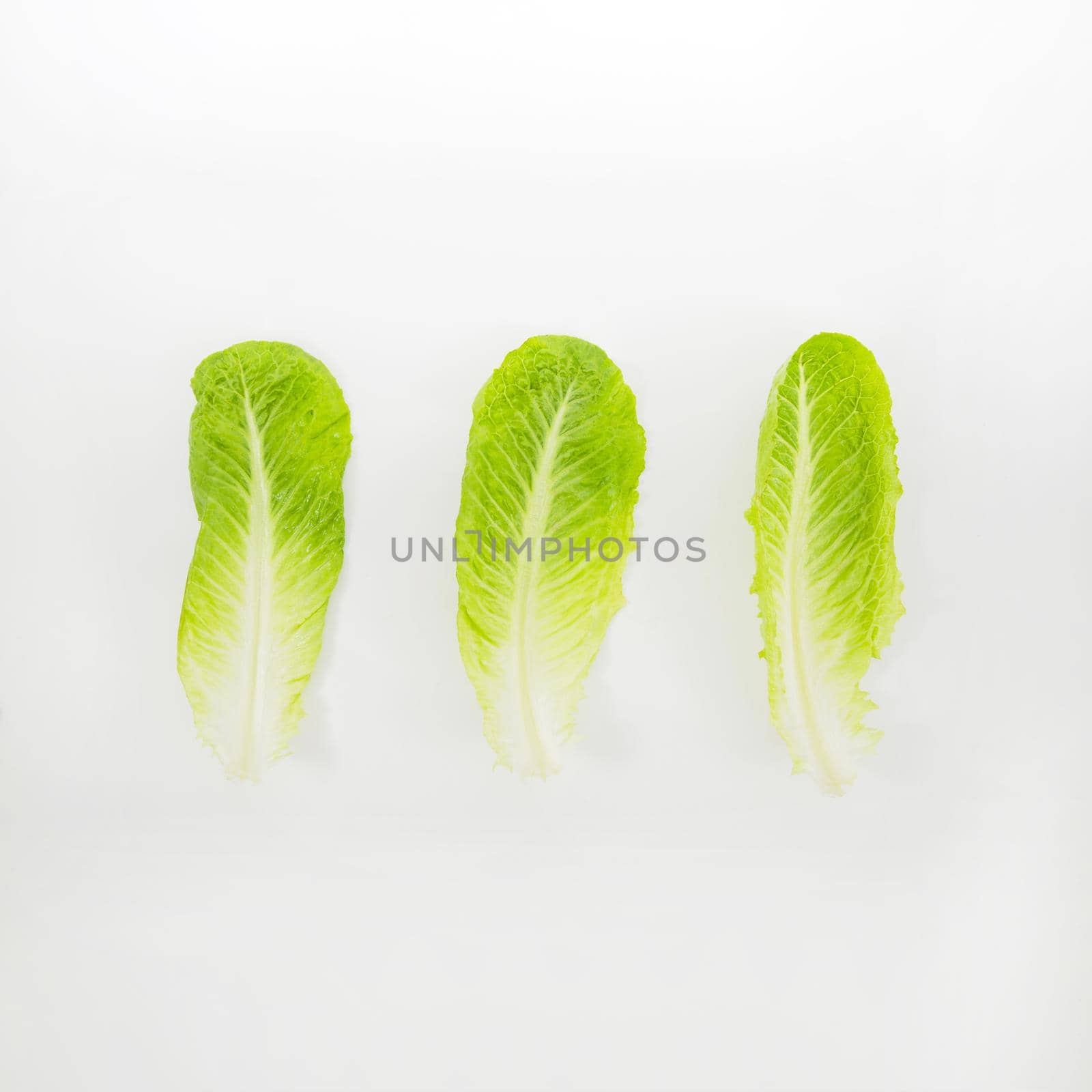 lettuce. High quality beautiful photo concept by Zahard
