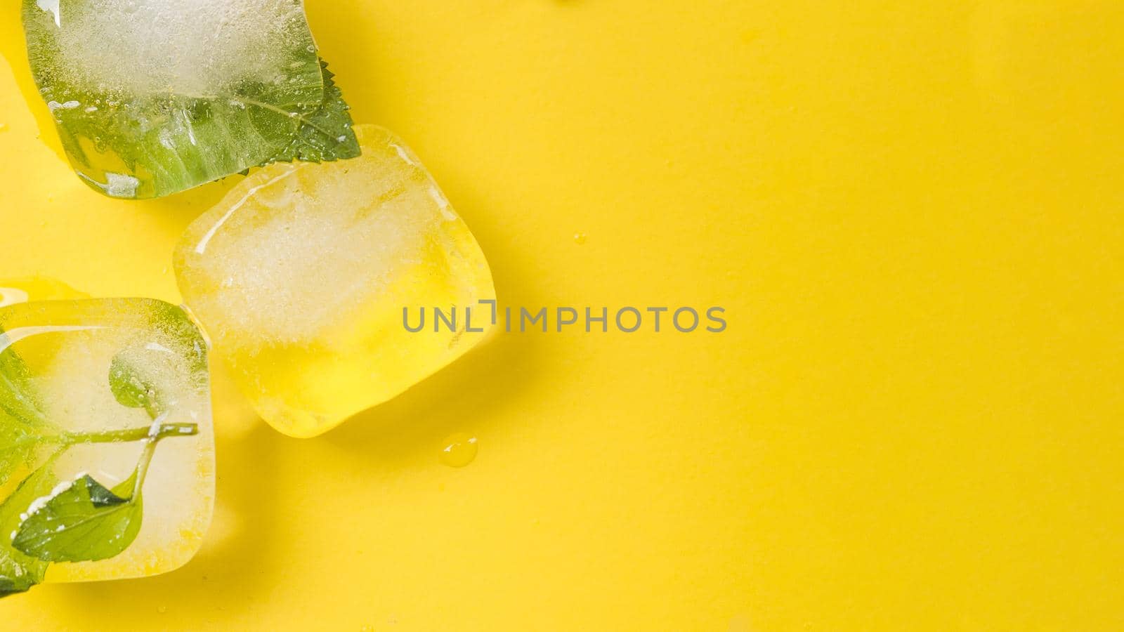 leaves ice blocks 2. High quality beautiful photo concept by Zahard