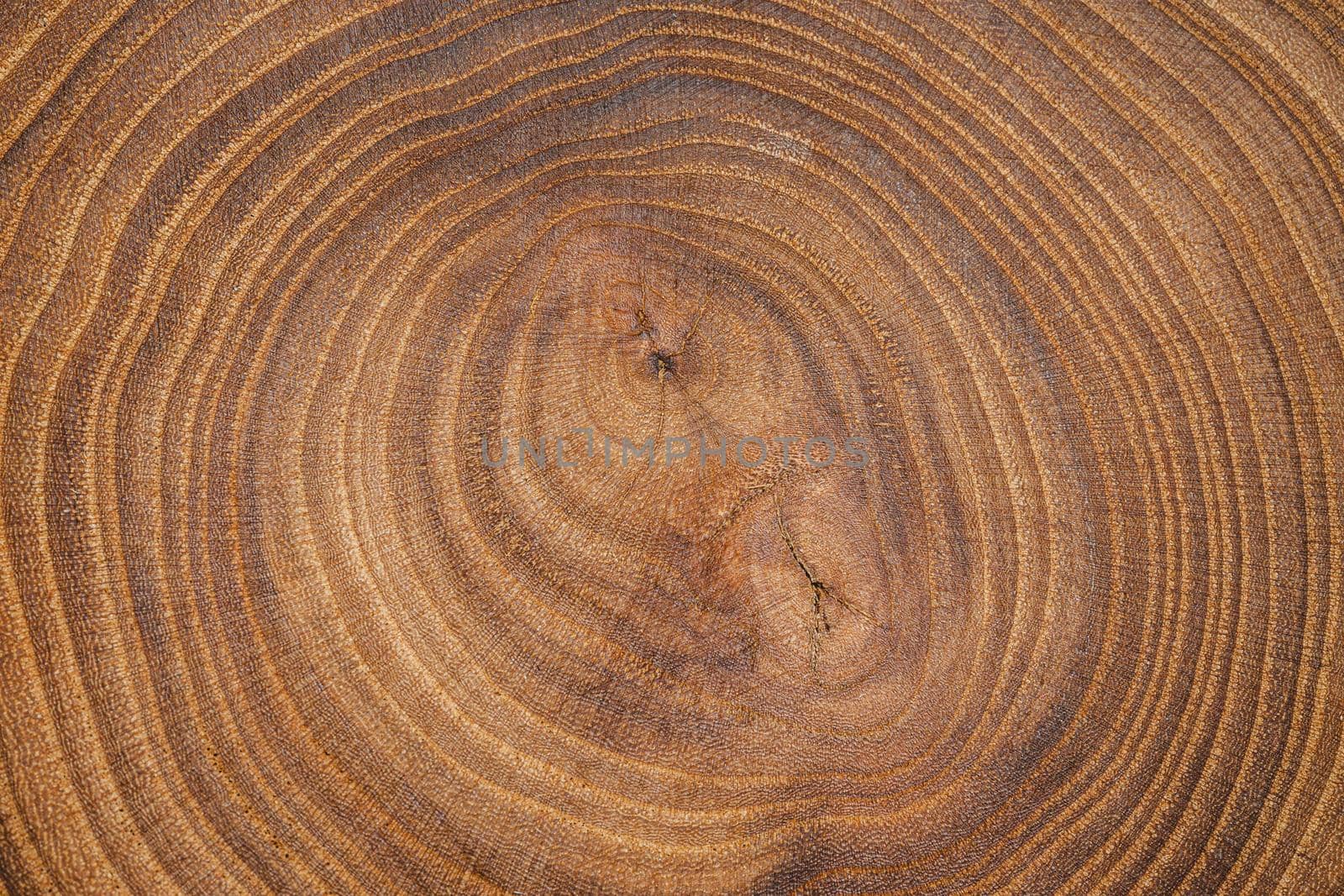 top view wooden background. Resolution and high quality beautiful photo