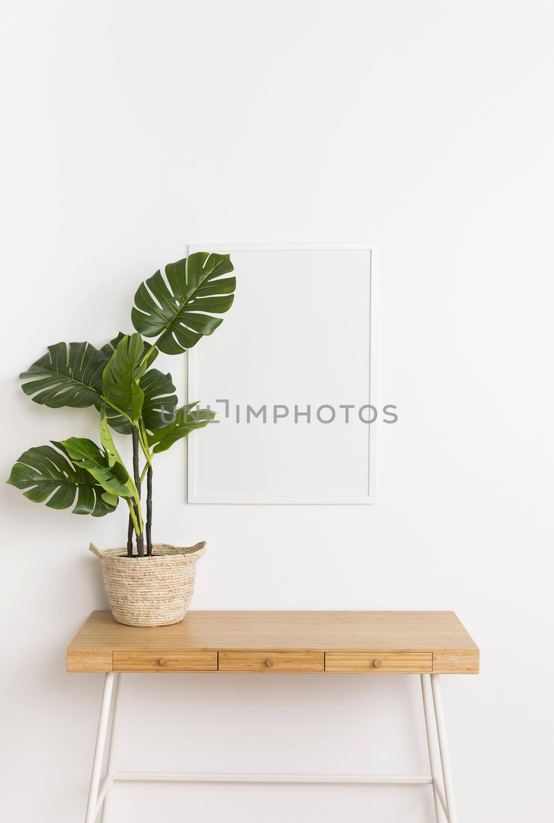 decorative plant with empty frame. Resolution and high quality beautiful photo