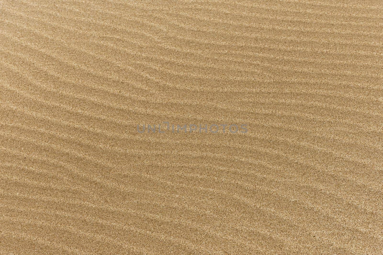 fine beach sand with waves. High quality beautiful photo concept by Zahard
