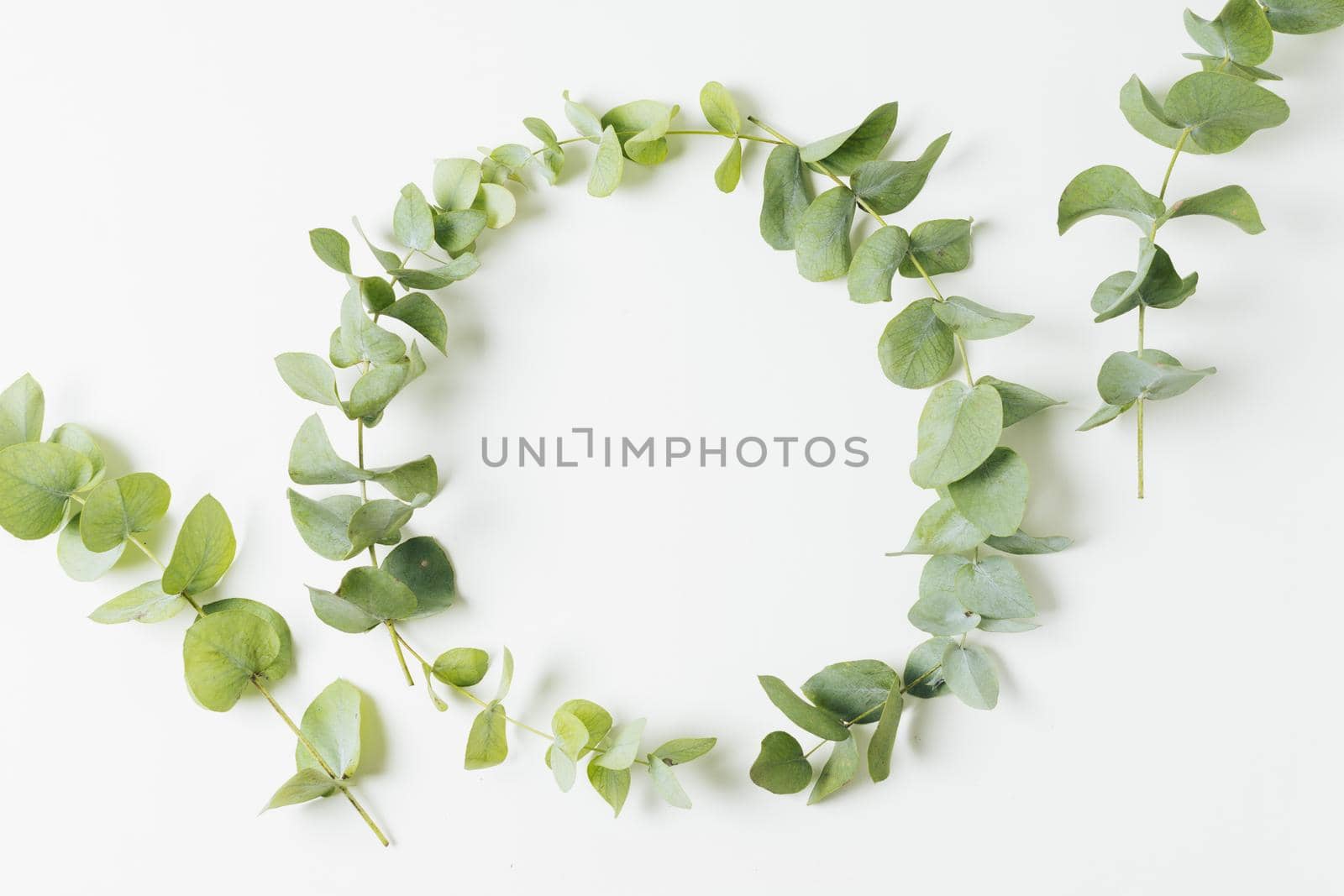 wedding frame made with leaves isolated white background. High quality beautiful photo concept by Zahard