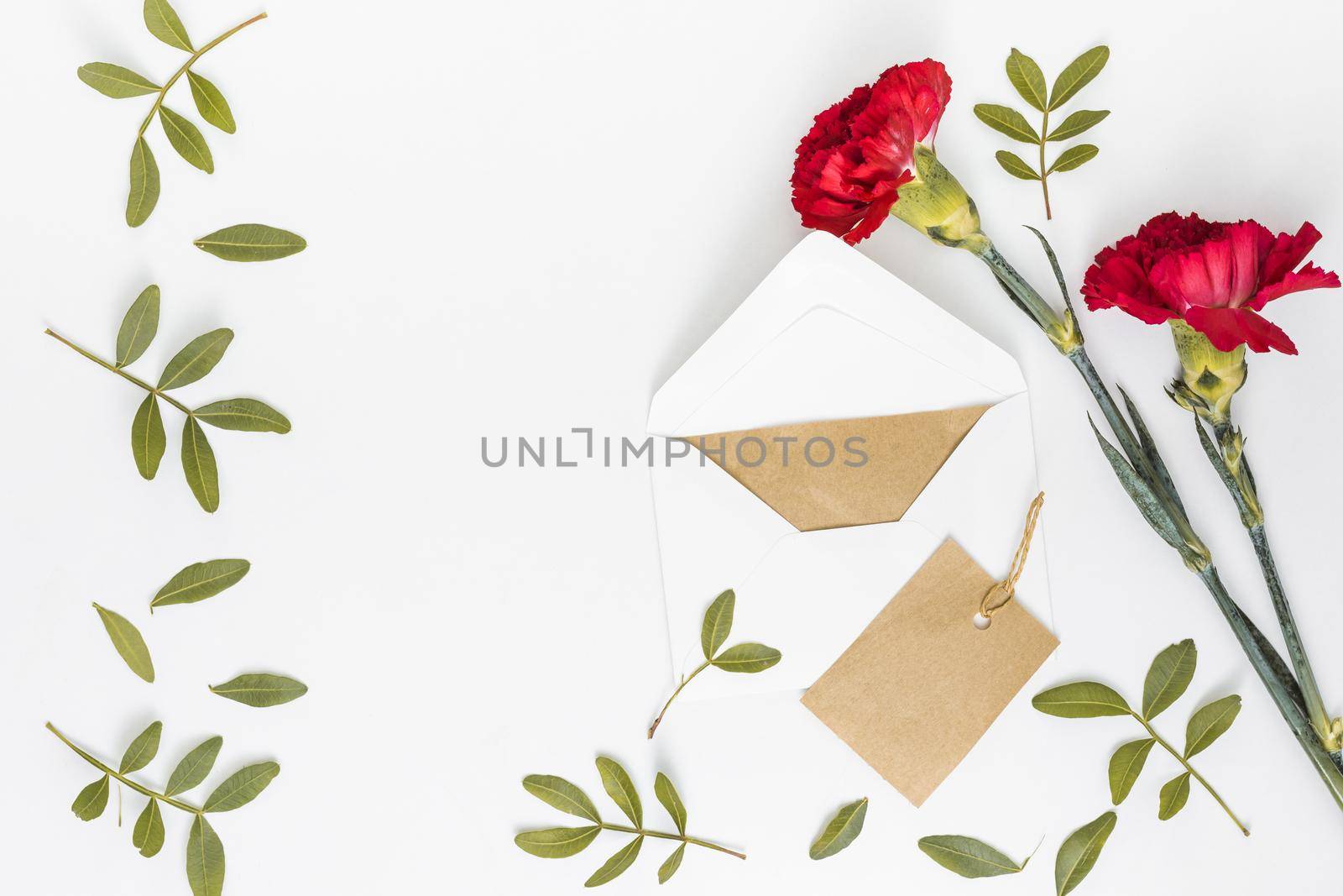 red carnation flowers with envelope paper. High quality beautiful photo concept by Zahard