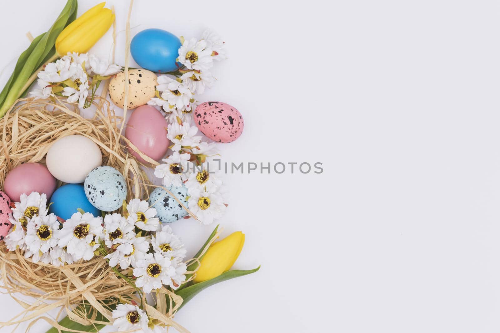 flowers near eggs nest. High quality beautiful photo concept by Zahard