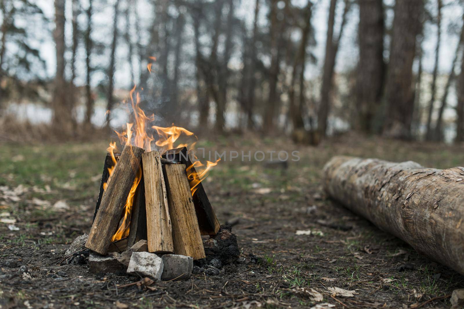 high angle bonfire forest. High quality beautiful photo concept by Zahard