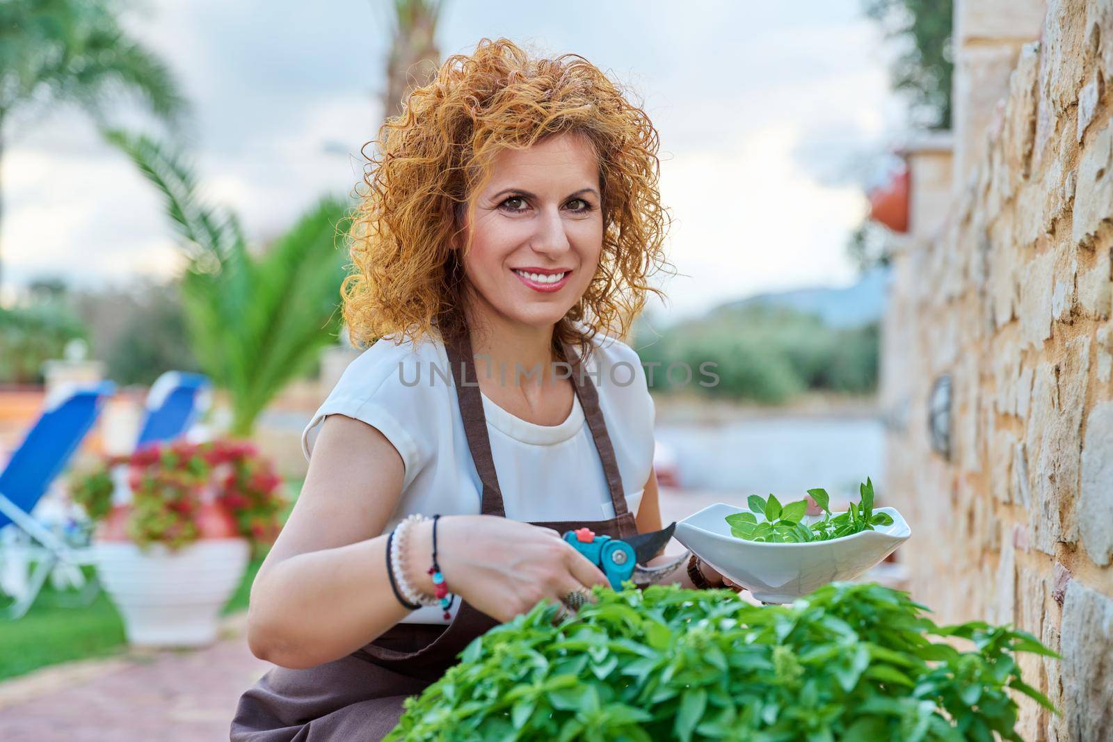 Beautiful woman in the garden cuts spicy basil herbs by VH-studio