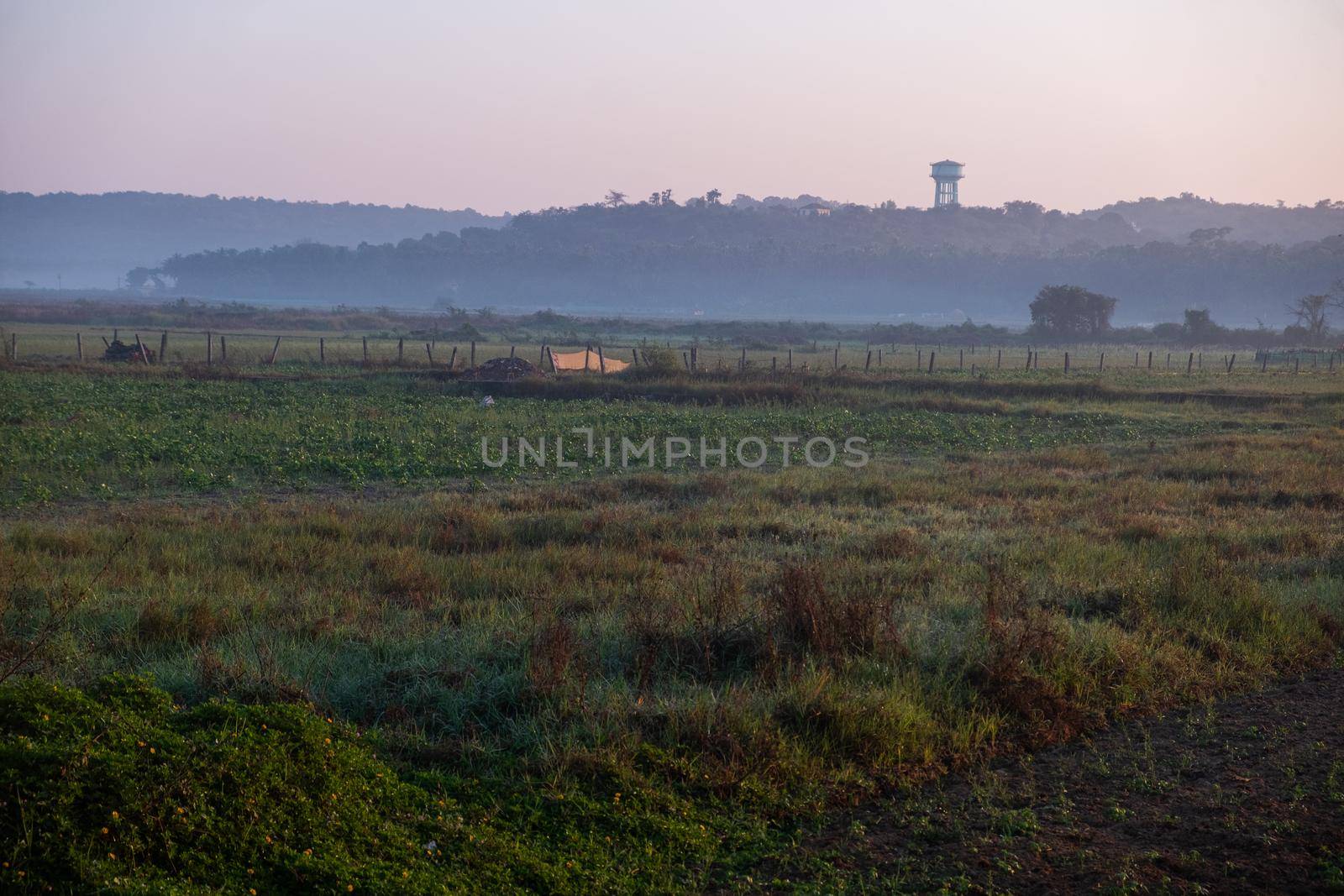 Sunrise, road in Indian fields by snep_photo