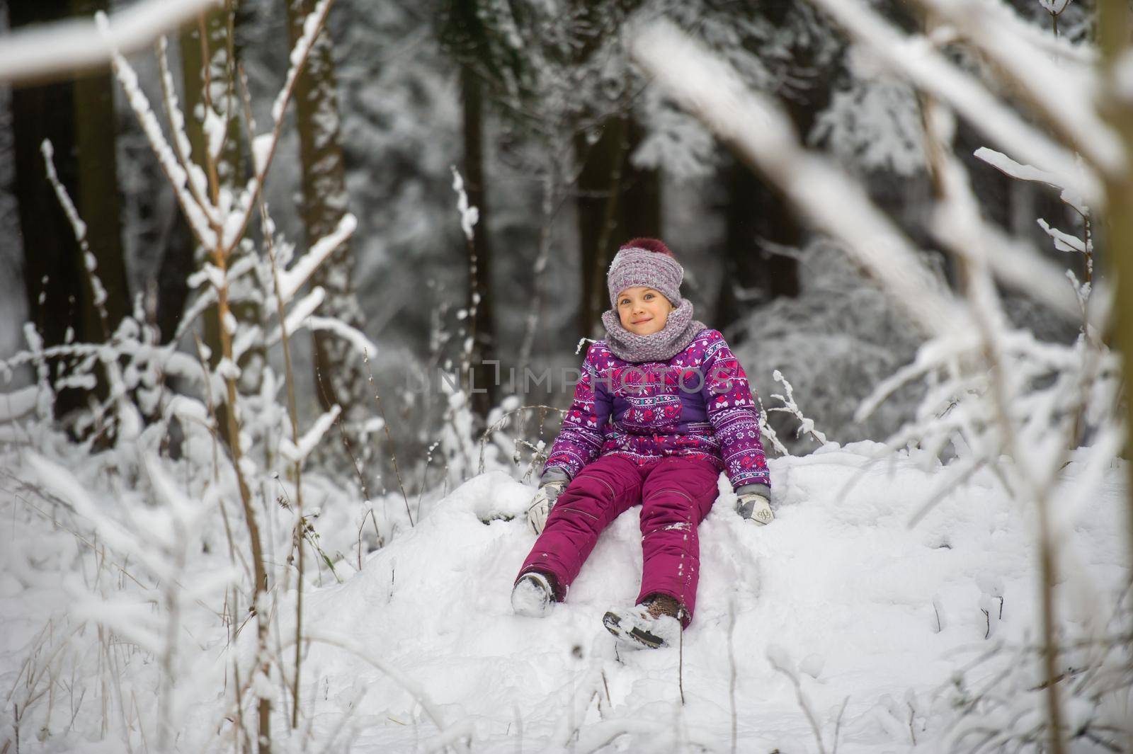 a little girl in winter in purple clothes walks through a snow-covered forest.