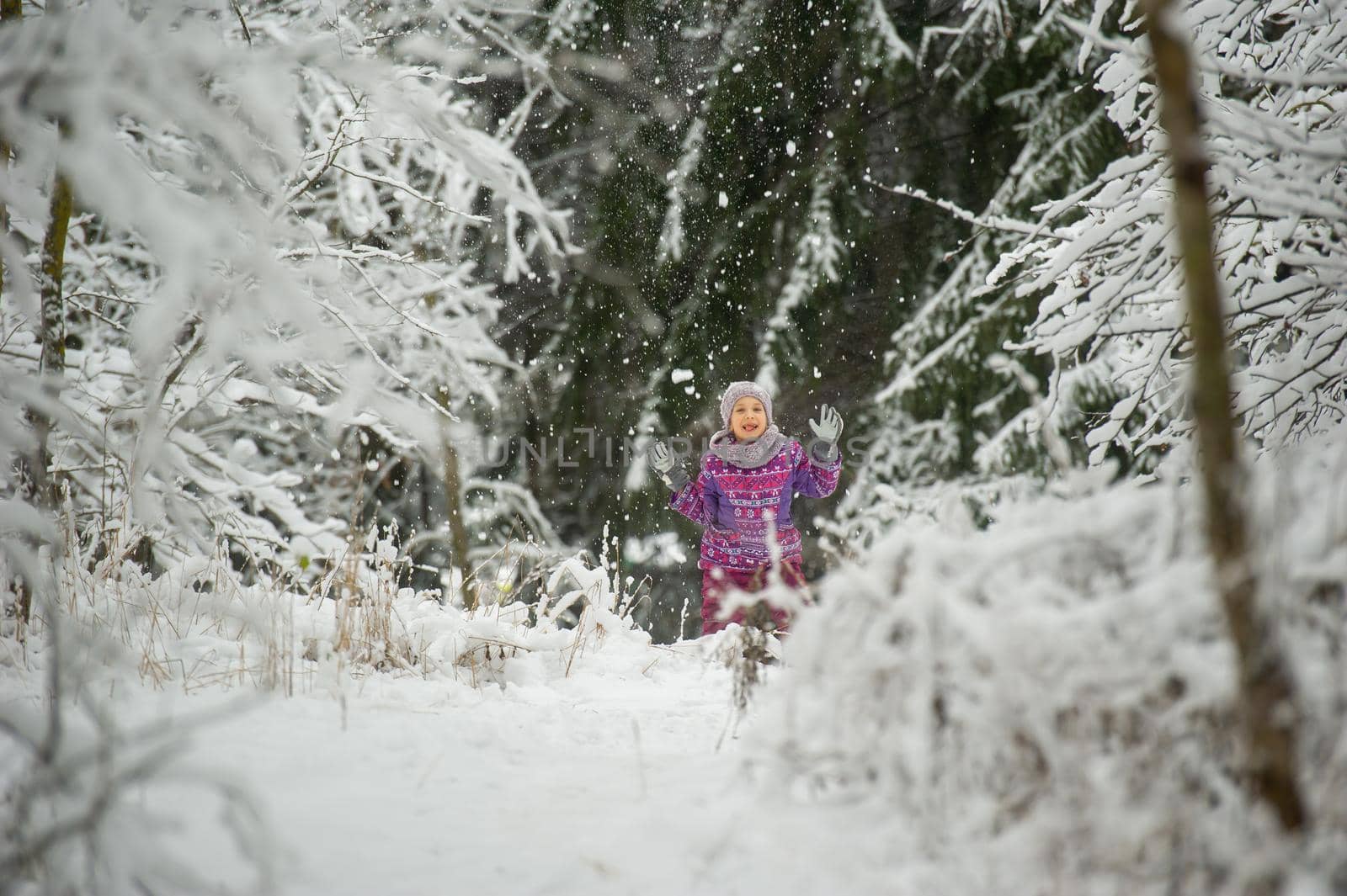 a little girl in winter in purple clothes walks through a snow-covered forest.