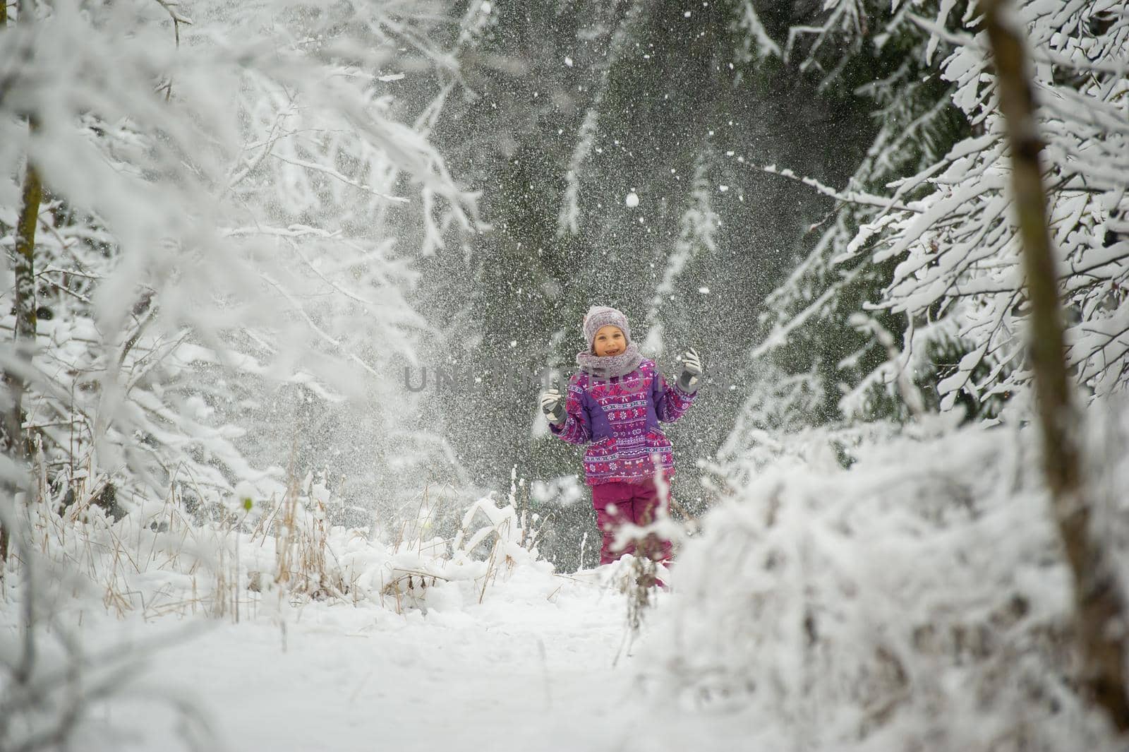 a little girl in winter in purple clothes walks through a snow-covered forest.