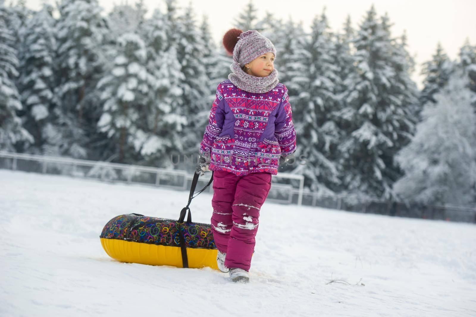 a little girl in winter in purple clothes and an inflatable circle walks on the street in a snow-covered forest by Lobachad