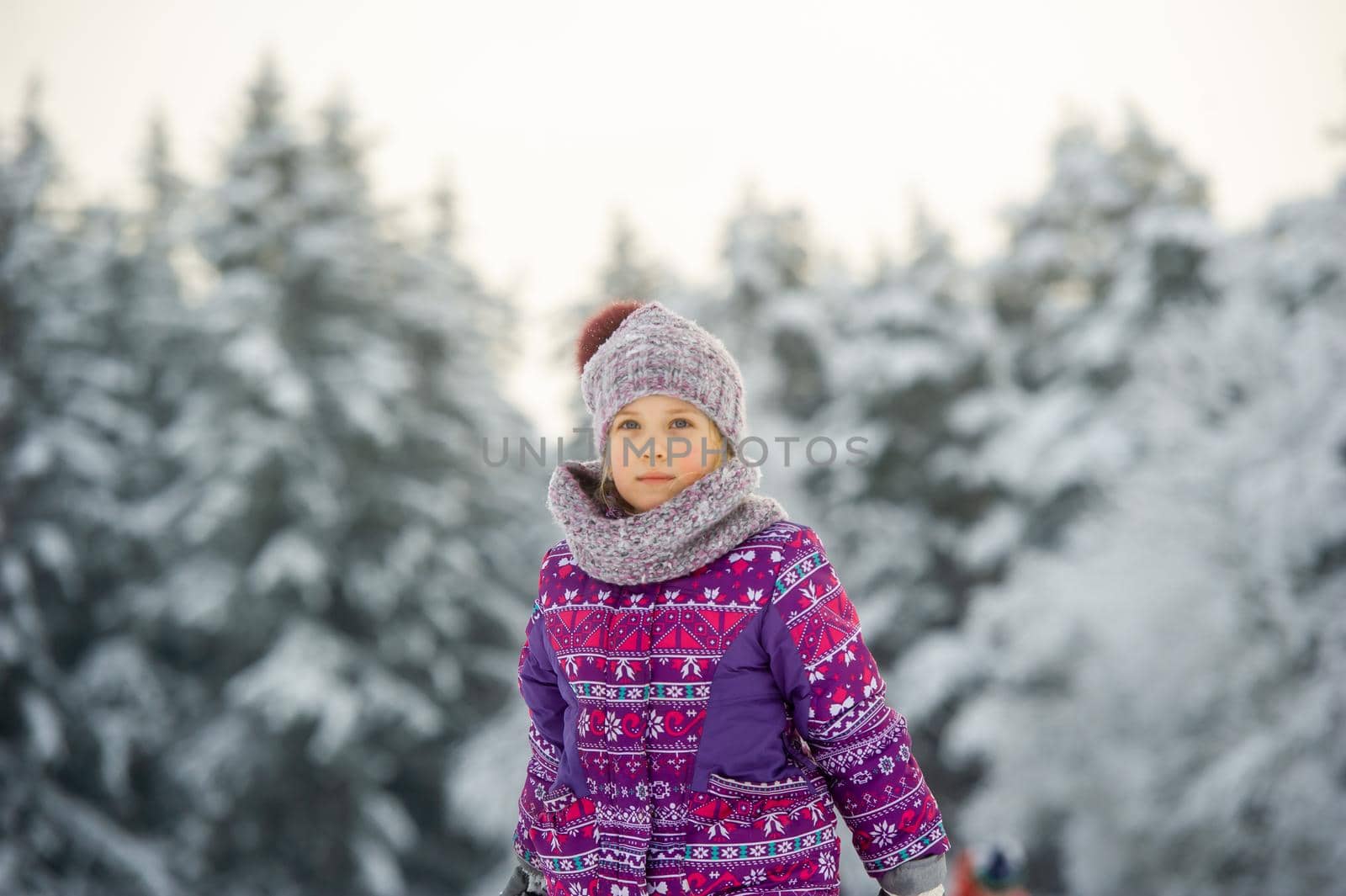 a little girl in winter in purple clothes walks through a snow-covered forest by Lobachad