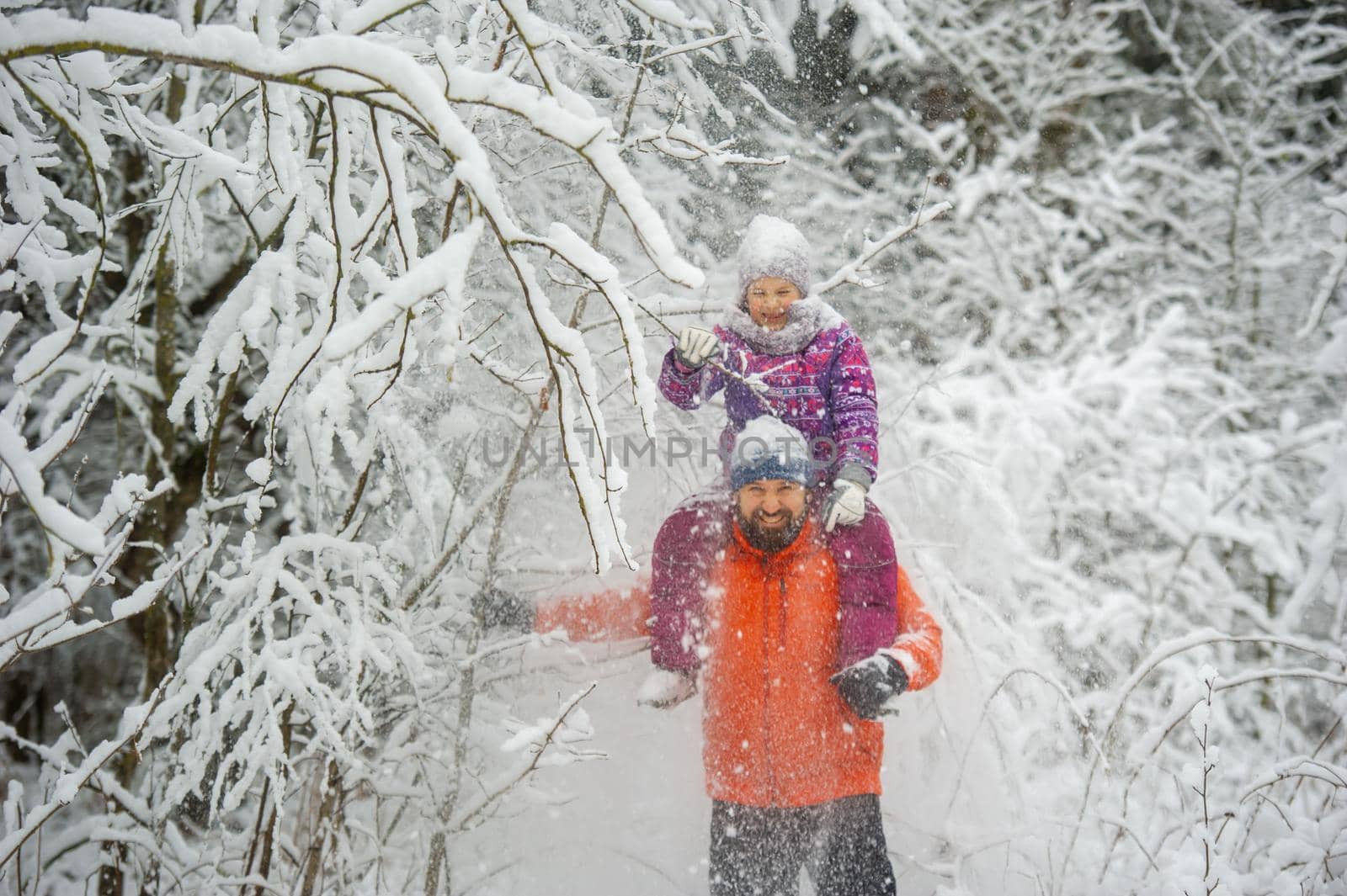 Family dad and daughter walk in the snow-covered forest in winter.