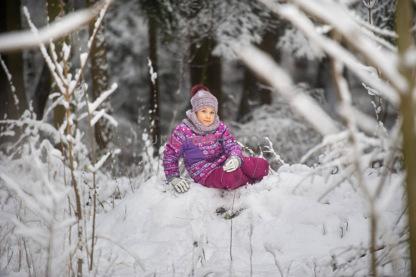 a little girl in winter in purple clothes walks through a snow-covered forest.