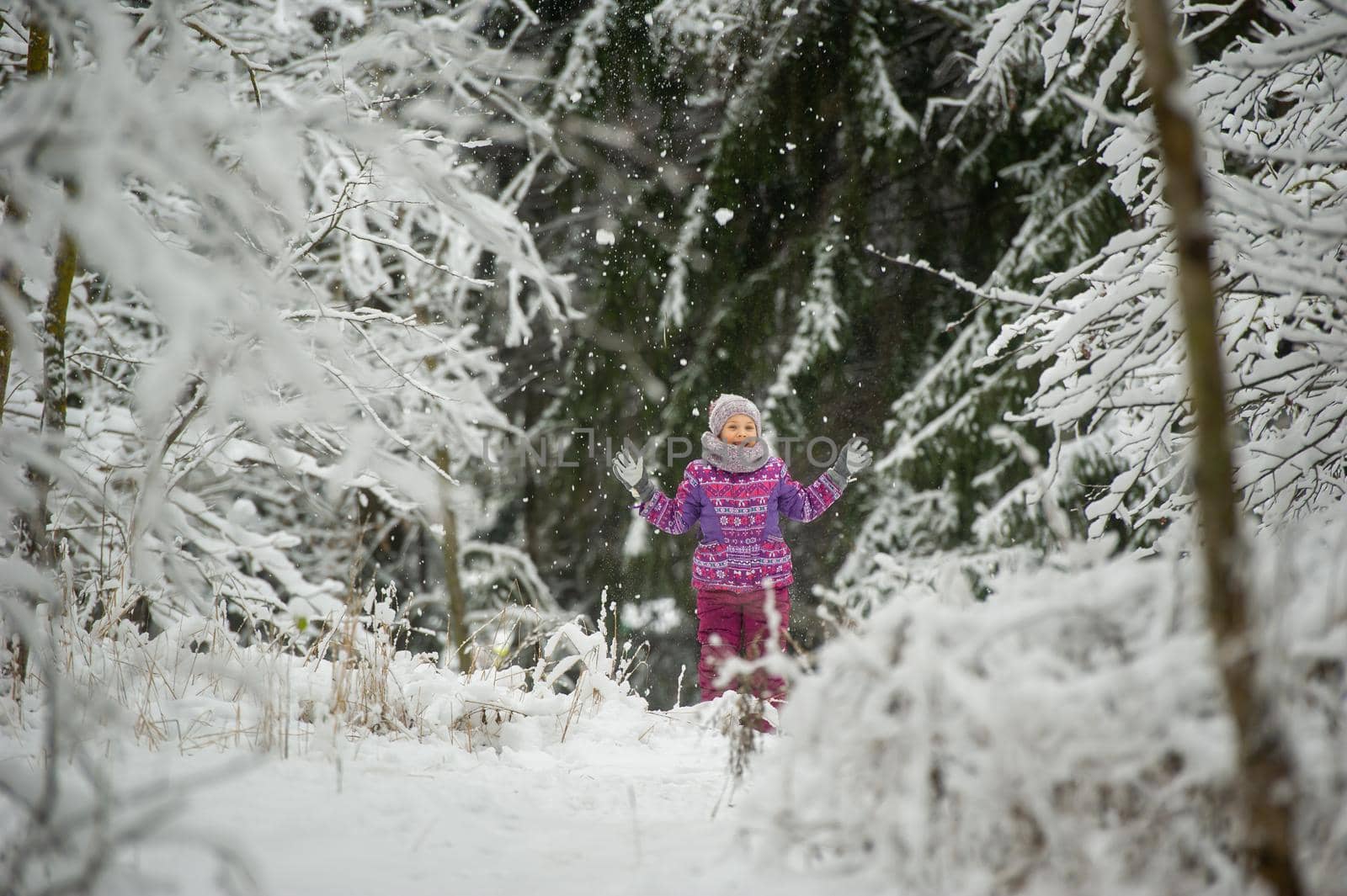 a little girl in winter in purple clothes walks through a snow-covered forest.