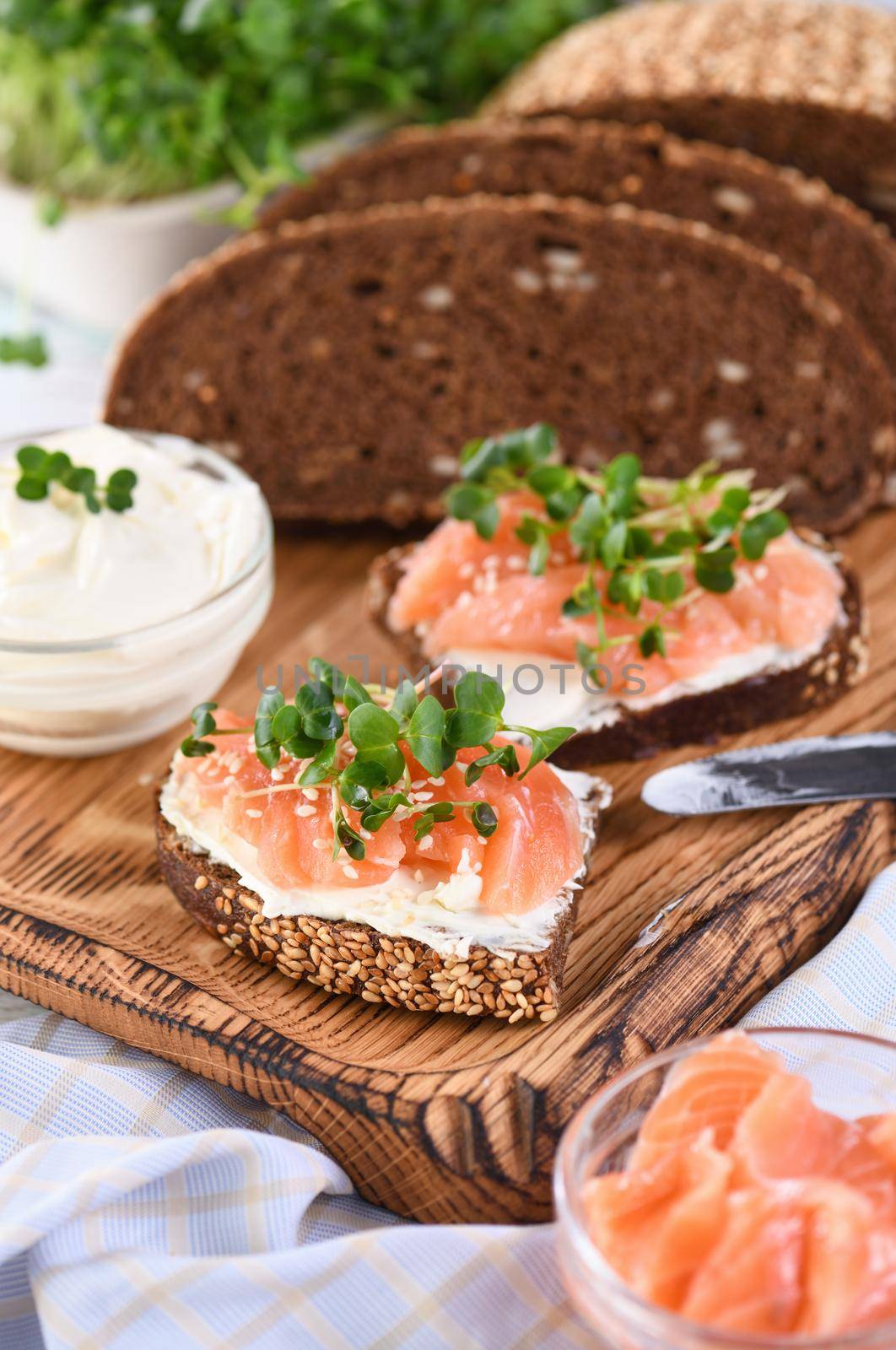 Microgreen salmon sandwich by Apolonia