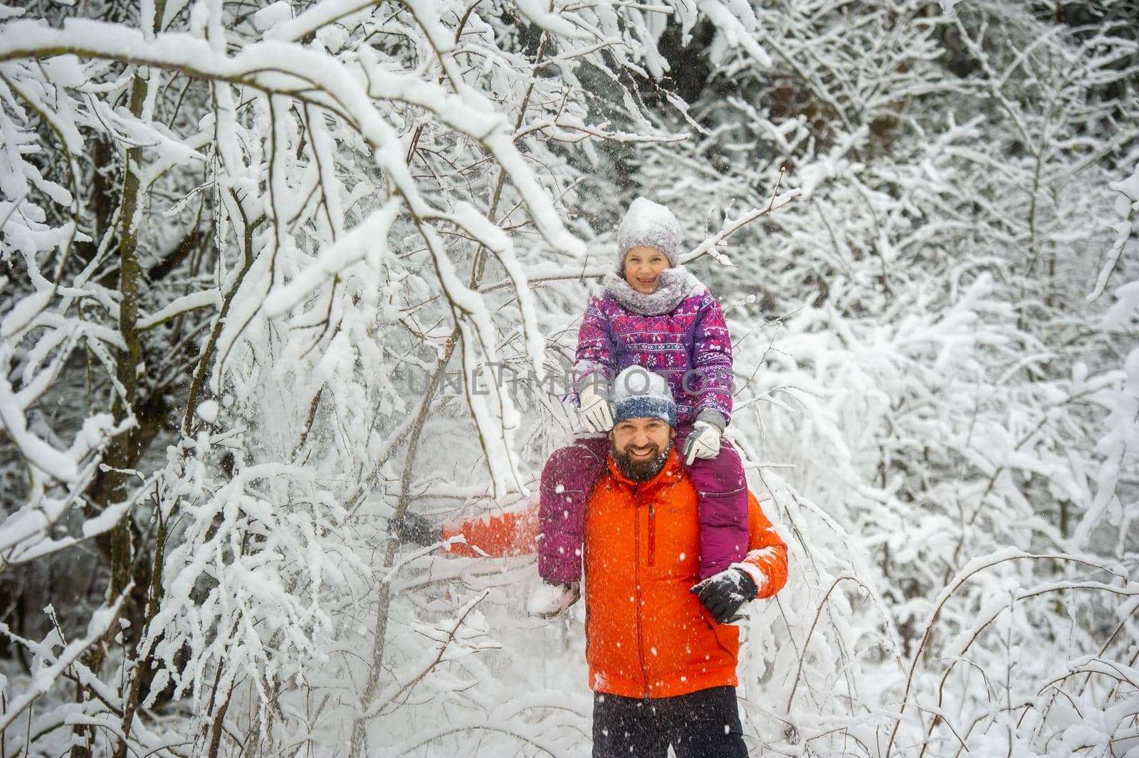 Family dad and daughter walk in the snow-covered forest in winter by Lobachad