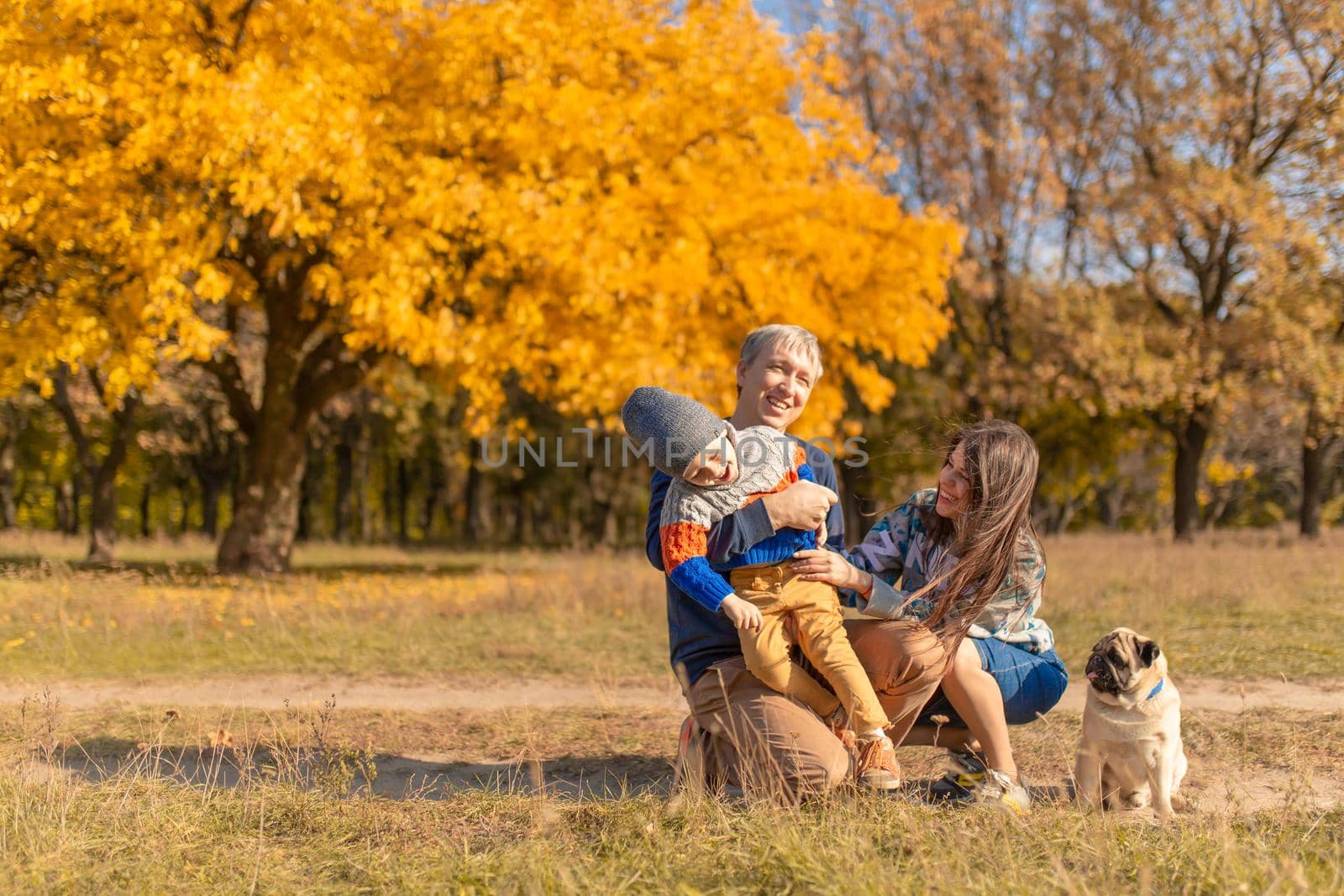A young family with a small child and a dog spend time together for a walk in the autumn park by Try_my_best