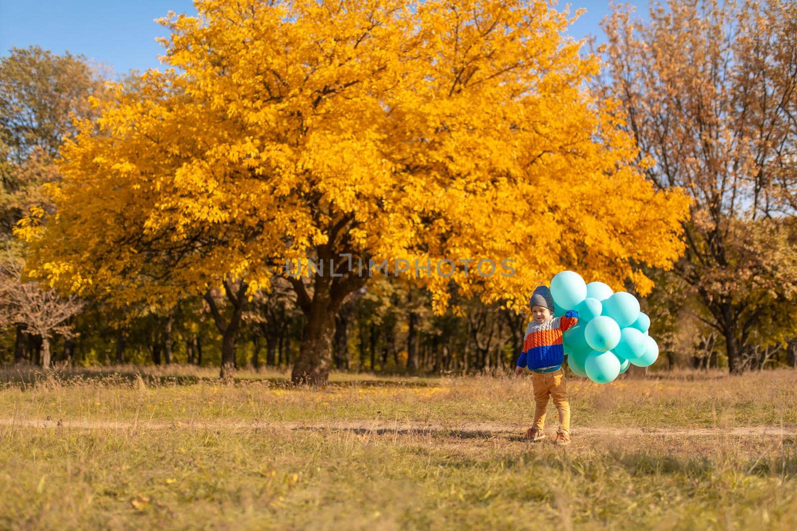 A little boy with an armful of balloons walks in the autumn park. Yellow trees and blue balls. Stylish child by Try_my_best