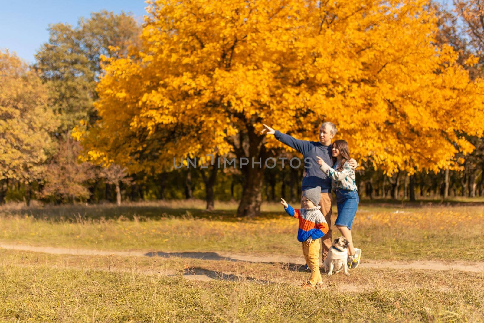 A young family with a small child and a dog spend time together for a walk in the autumn park by Try_my_best