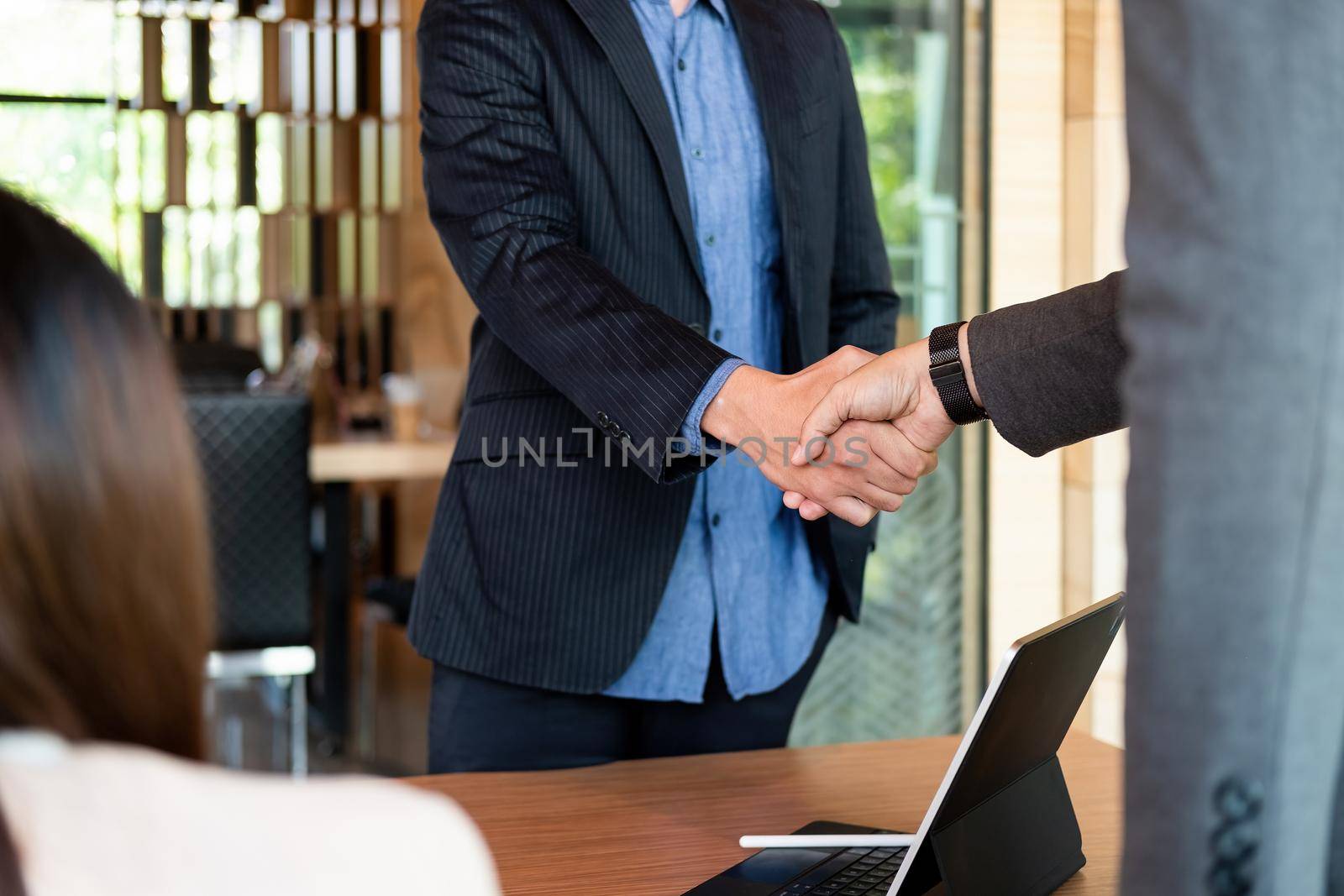Business people shaking hands during meeting in meeting room.