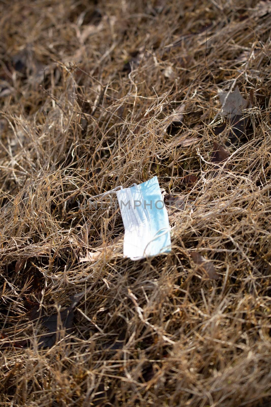 Blue, paper surgical mask forming litter on the ground