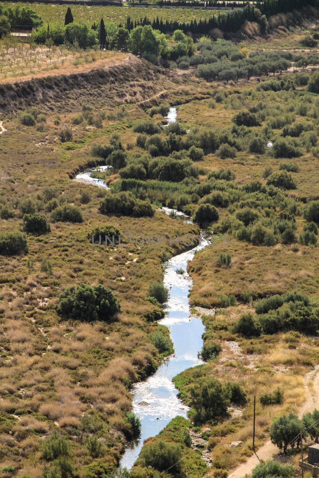 The Vinalopo River between vegetation and mountain landscape in Novelda, Alicante, Spain