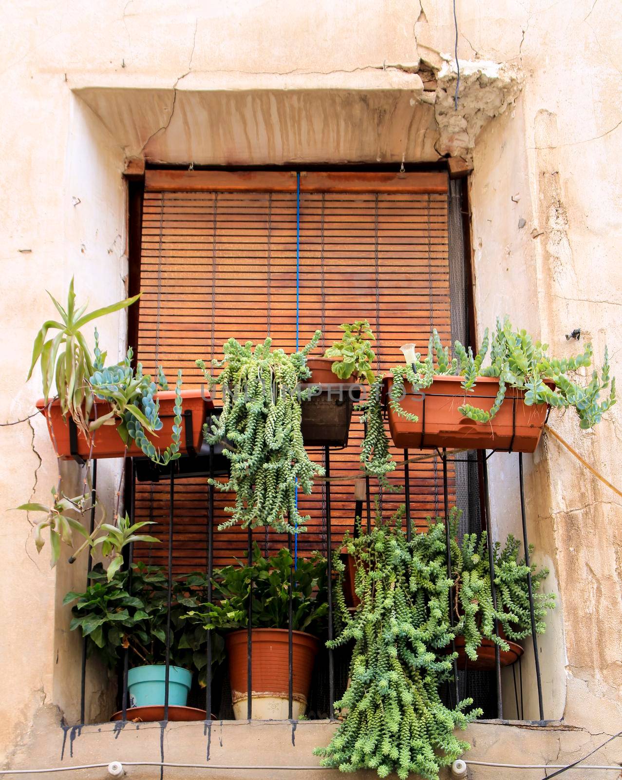 House facade with rusty balcony with a lot of pots and wooden blind in Novelda, Spain