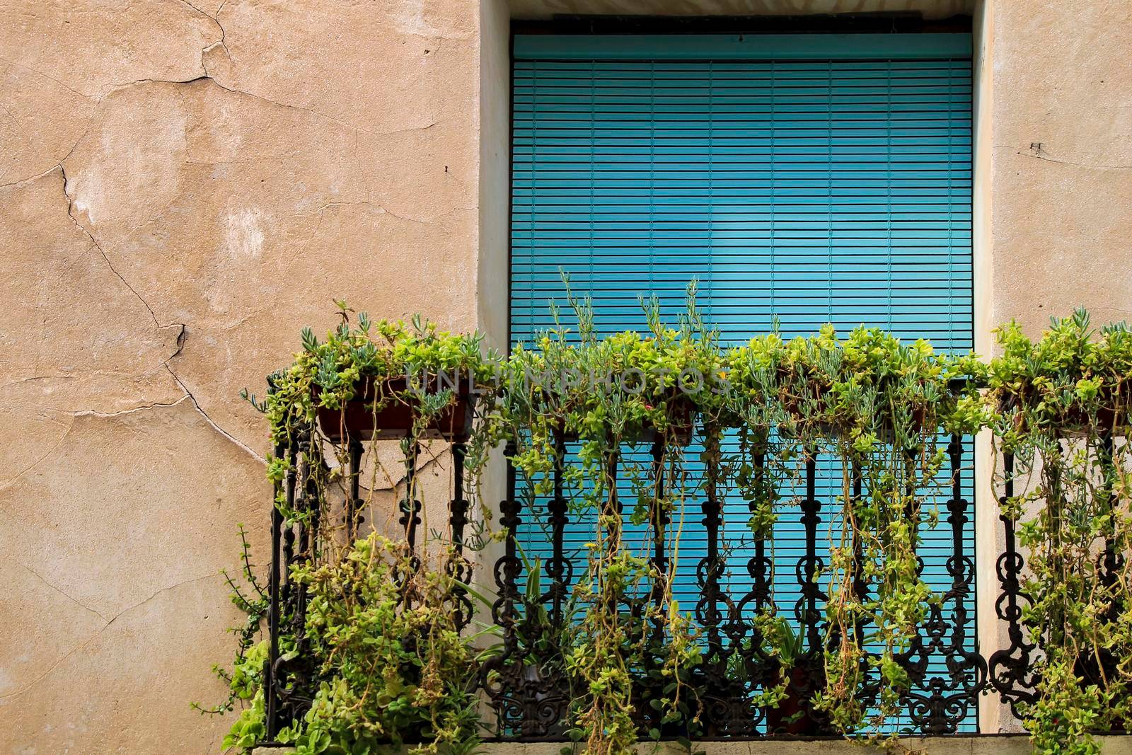 House facade with rusty balcony with a lot of pots and wooden blind in Novelda, Spain