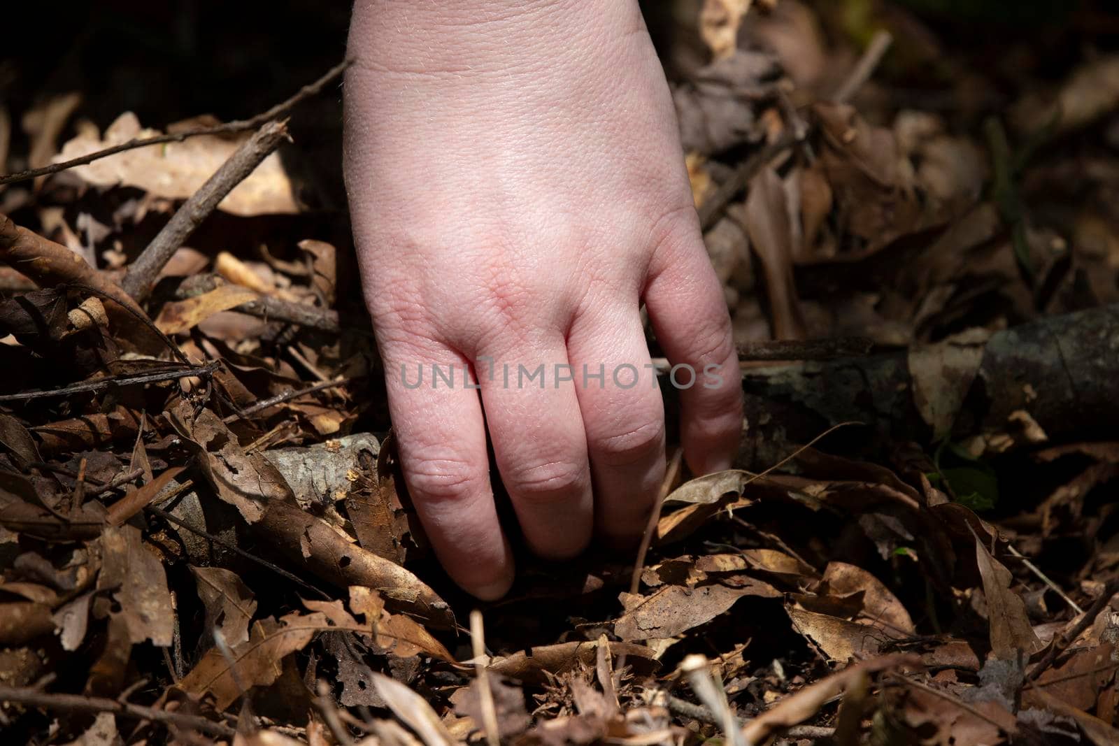 Woman's hand grabbing stick clutter from leaves in a yard