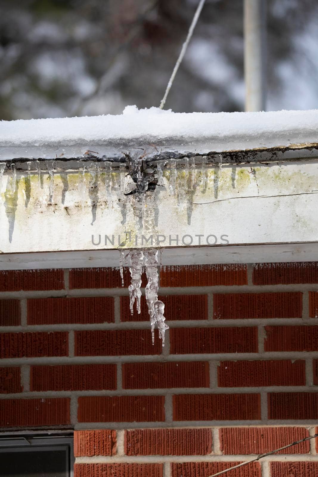 Icicles Hanging from a Roof by tornado98