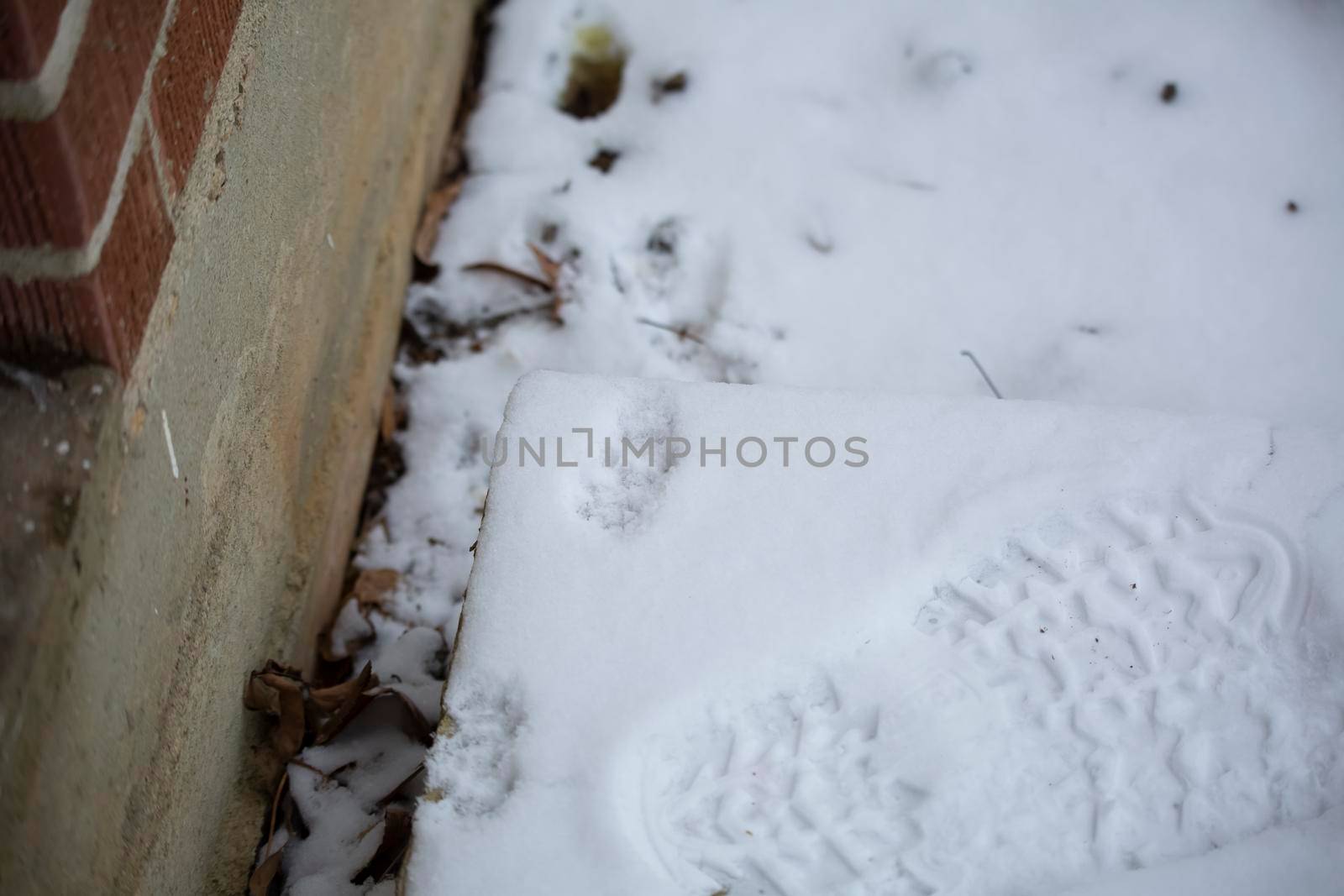 Cat print next to a boot print in the snow near a House