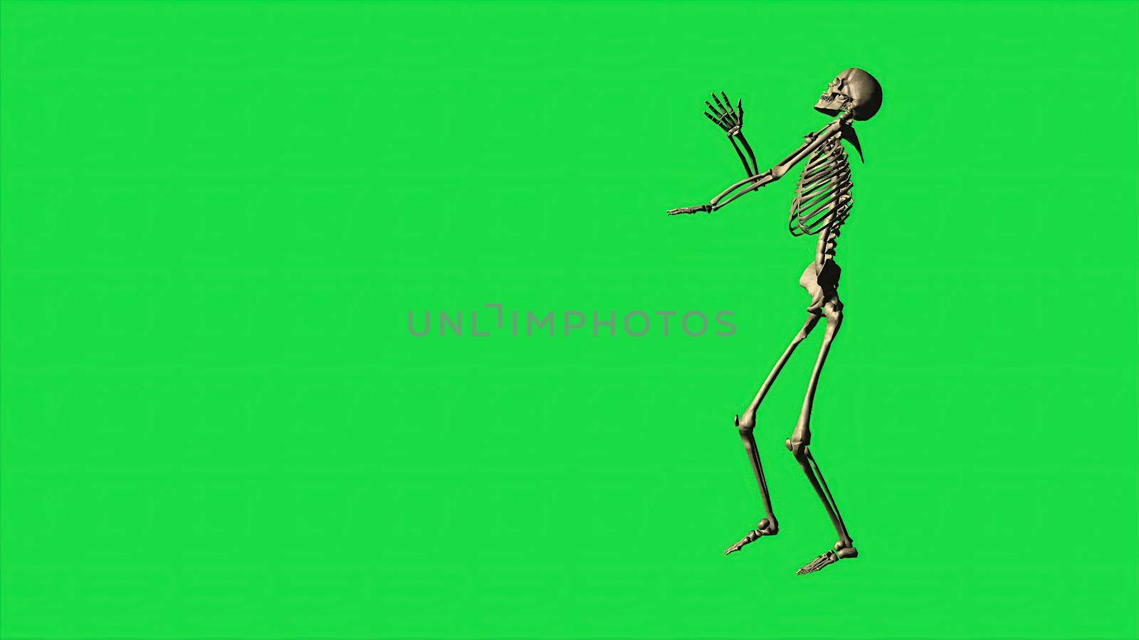 3d illustration - Skeleton Exercise Karate, Separate On Green Screen