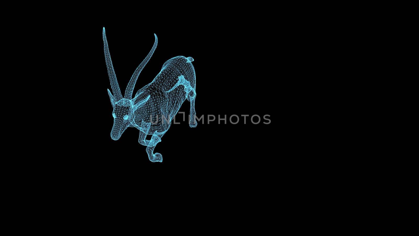 3d illustration - wireframe  Gazelle  on black background