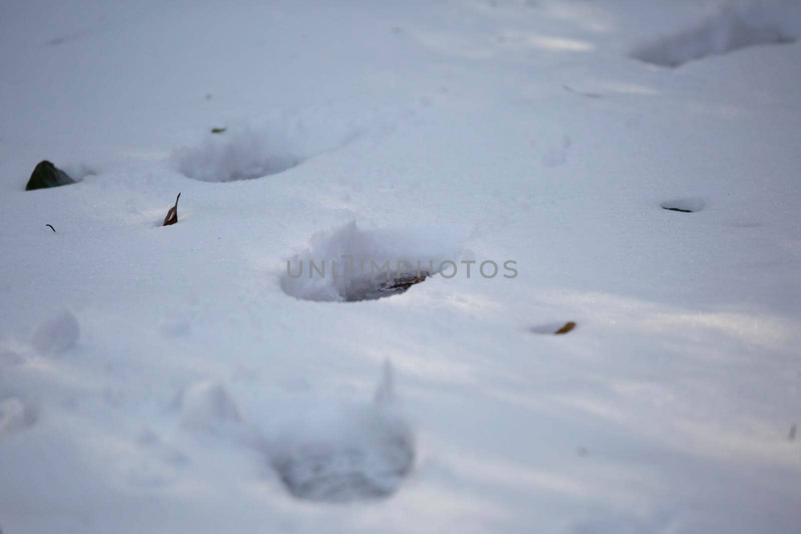 Human Tracks in the Snow by tornado98