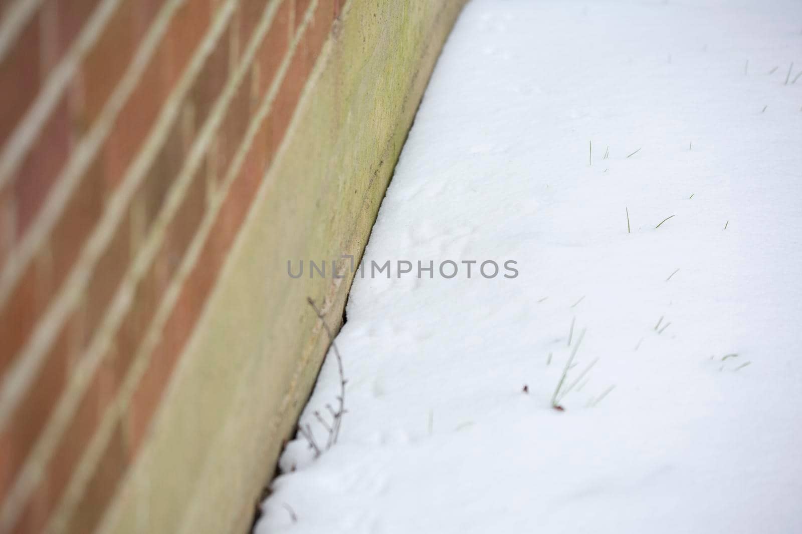 Bird tracks in winter precipitation near a red brick house