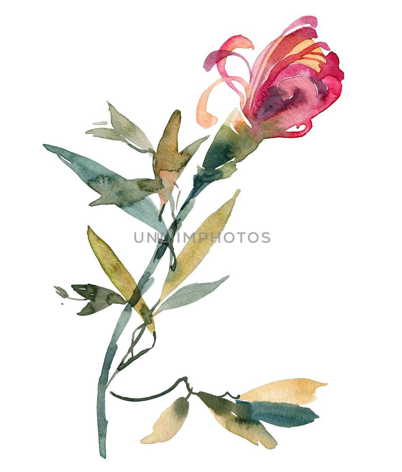 Watercolor illustration of chrysanthemum bud with leaves
