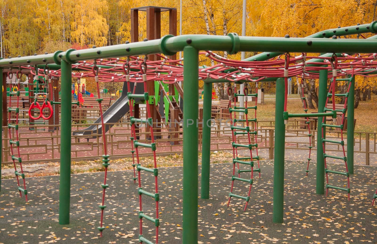 Empty playground with fallen autumn leaves on the floor.
