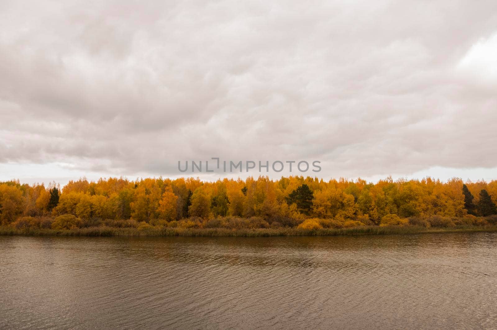 Autumn ladscape. Park with lake by inxti