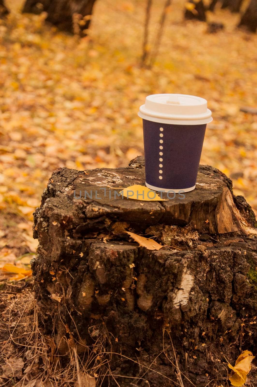 Walk with a cup of hot coffee in the autumn park. Craft cup of coffee on the road with yellow fallen leaves. by inxti