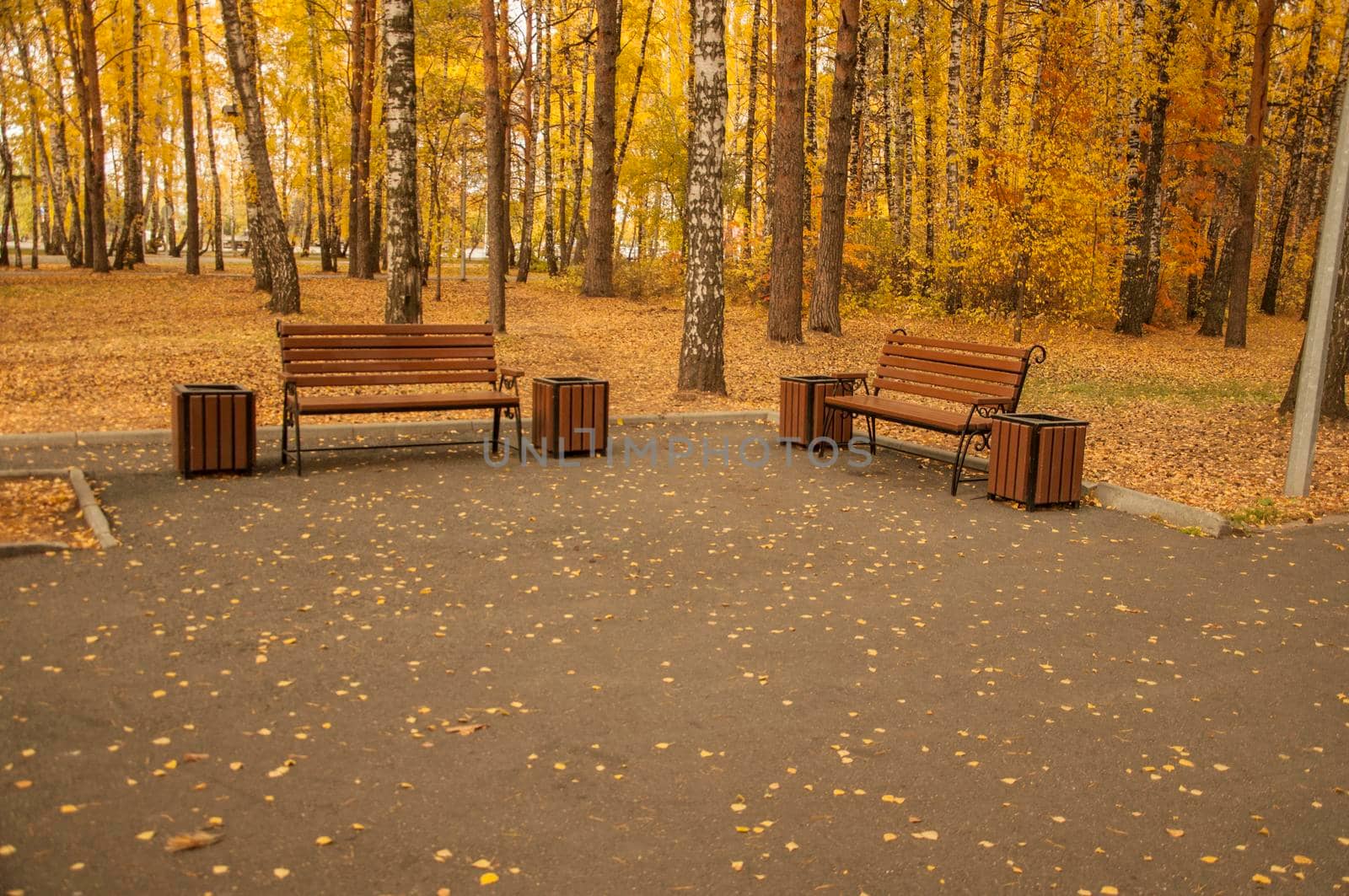 The yellow leaf has fallen to a garden bench by inxti