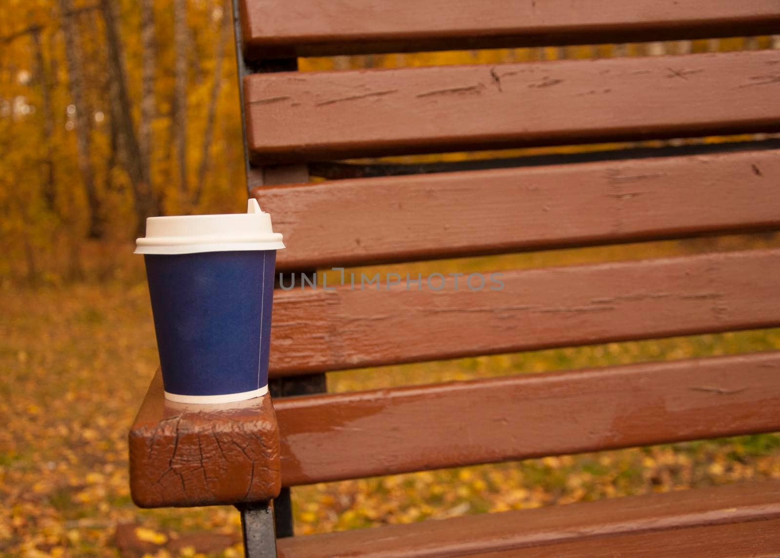 Coffee stands on a bench on the street. Cool weather. Warm up with aromatic coffee.